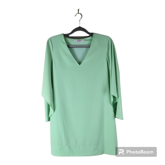 Crosby Olivia Dress with Trumpet Sleeves - Picture 3 of 5